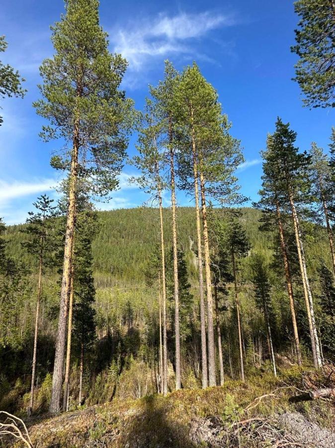 Stuga I Storklinten Harads Exterior foto